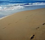 Footsteps in the sand, Bethany Beach