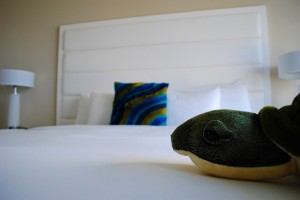 Turtle on my bed in room at B Ocean Fort Lauderdale