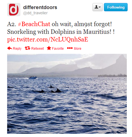 #BeachChat Recap: Snorkeling and Diving: BeachChat A2